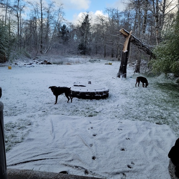 Meet your Posher, Ca - Picture 12 of 16